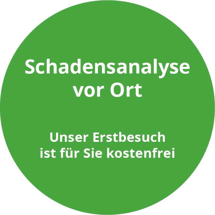 Schadensanalyse vor Ort. Unser Erstbesuch ist für Sie kostenfrei